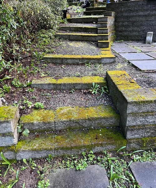 Broom Finish Steps ,retaining Wall And Patio, Integral Concrete Color in Mercer Island 